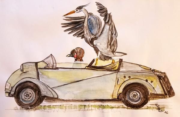 Eine Skizze des Wertheimer Künstlers Wolfgang Isensee: Ein Auto mit zwei Vögeln
