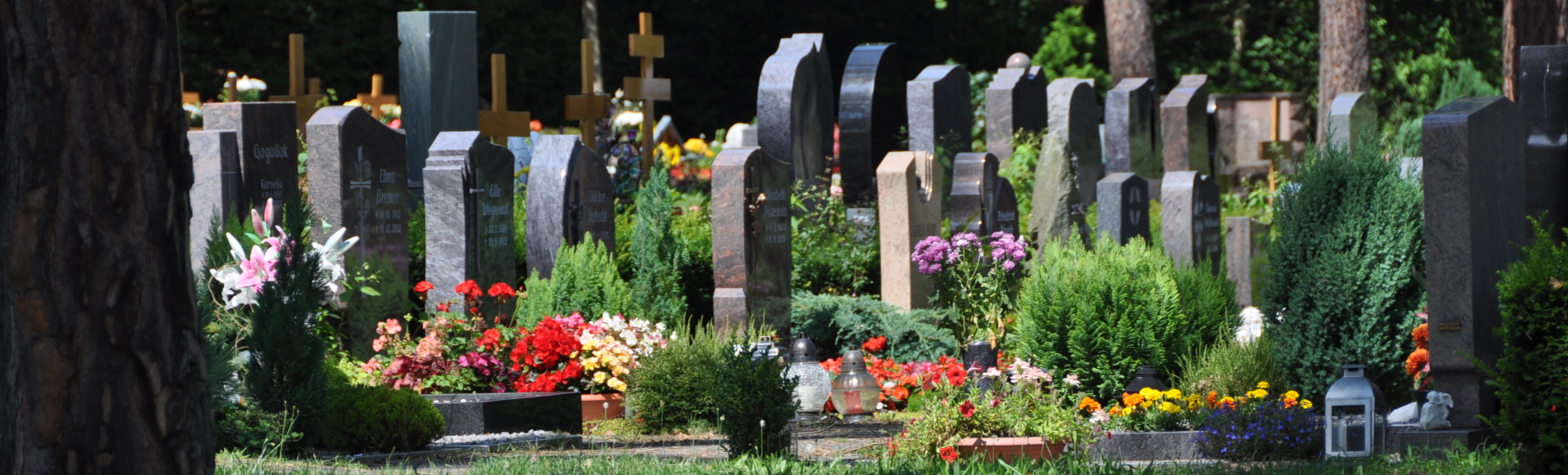 Eine Aufnahme mit verschiedenen Gräbern auf dem Wertheimer Waldfriedhof im Stadtteil Bestenheid.