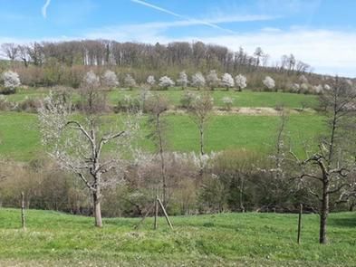 Quelle:  Alexandra Thielen