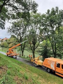 Auf diesem Foto ist eine Straße mit einer begleitenden kommunalen Baumreihe zu sehen.