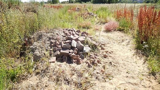 Das Foto zeigt einen Eidechsen-Habitathügel mit Steinhaufen und Sandsaum
