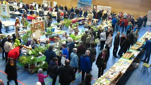 Das Foto zeigt eine Veranstaltung des Wertheimer Saatgutfestivals in der Main-Tauber-Halle mit vielen Ständen und Besuchern