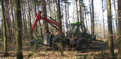 Eine Soezialmaschine fällt Bäume im Wald