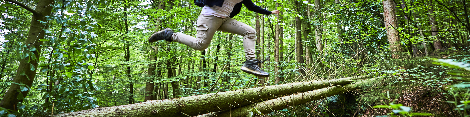  Symbolbild: In einem Wald springt jemand über zwei querliegende Baumstämme und symbolisiert so den "Sprung in eine Anstellung" bei der Stadt Wertheim. 